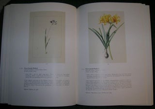 The Collection of The Garden Ltd. Magnificent Books and Manuscripts.